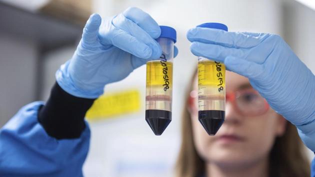 A researcher in a laboratory at the Jenner Institute in Oxford, England, works on the coronavirus vaccine developed by AstraZeneca and Oxford University.(AP)