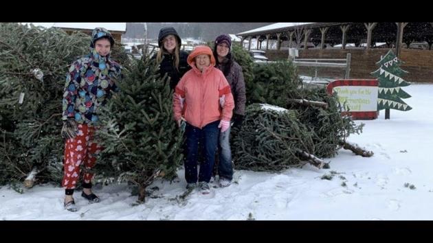 This post was shared on December 27.(Facebook/@VisitLewisFarms) This post was shared on December 27.(Facebook/@VisitLewisFarms)