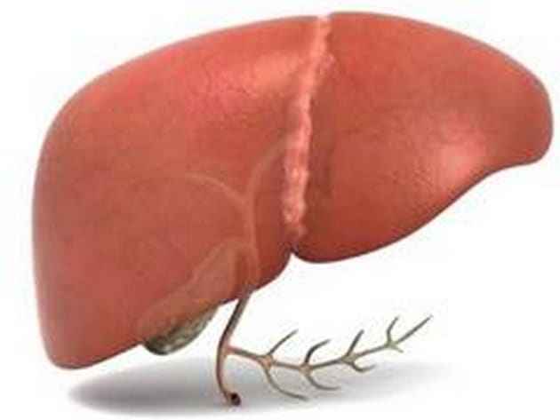 Women awaiting liver transplants in the United States are known to be about one-third more likely than men to become too ill to undergo surgery or die before receiving a liver.(ANI)