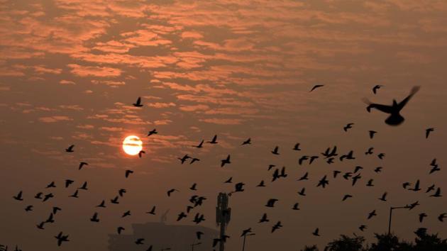 The dawn of a New Year spells hope.(Parveen Kumar/Hindustan Times)