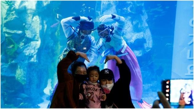 Divers in ‘Hanbok’ send New Year greetings from underwater at South Korean(Reuters) Divers in ‘Hanbok’ send New Year greetings from underwater at South Korean(Reuters)