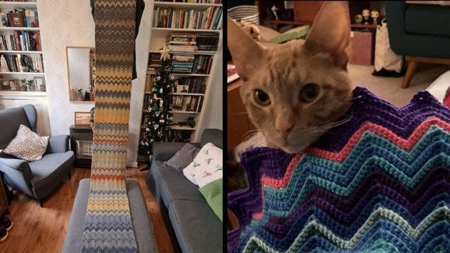 The images show temperature scarfs and blankets.(Screengrab) The images show temperature scarfs and blankets.(Screengrab)