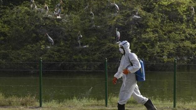 File photo: Workers spray to sanitize the area in front of bird enclosure.(Vipin Kumar/HT PHOTO) File photo: Workers spray to sanitize the area in front of bird enclosure.(Vipin Kumar/HT PHOTO)