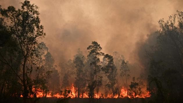 Australian Lives And Homes At Risk As Bushfire Nears Perth Hindustan Times