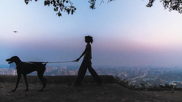 A girl walks her dog atop the hill at Ghatkopar. (Pratik Chorge/HT Photo) A girl walks her dog atop the hill at Ghatkopar. (Pratik Chorge/HT Photo)