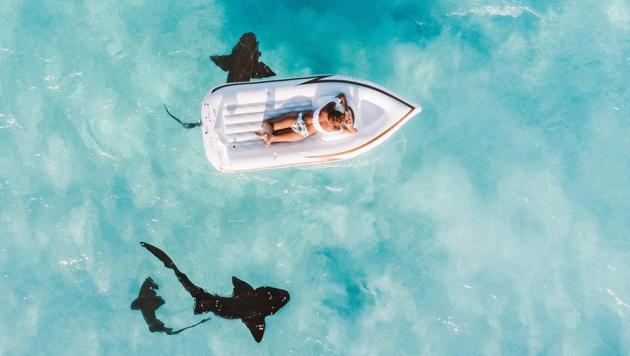 The new study was published in the journal of Tourism Analysis.(Unsplash) The new study was published in the journal of Tourism Analysis.(Unsplash)