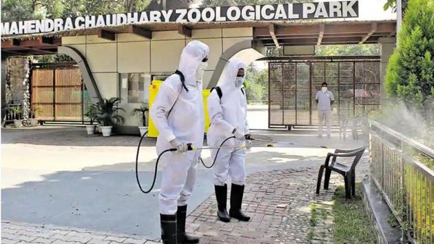 Zoos on alert across the country after bird flu deaths in Himachal | Hindustan Times