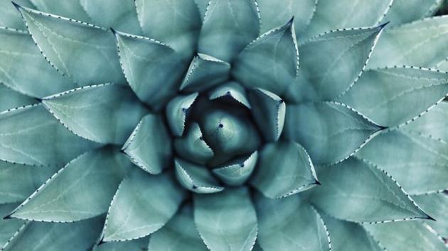 Representational image(Unsplash) Representational image(Unsplash)