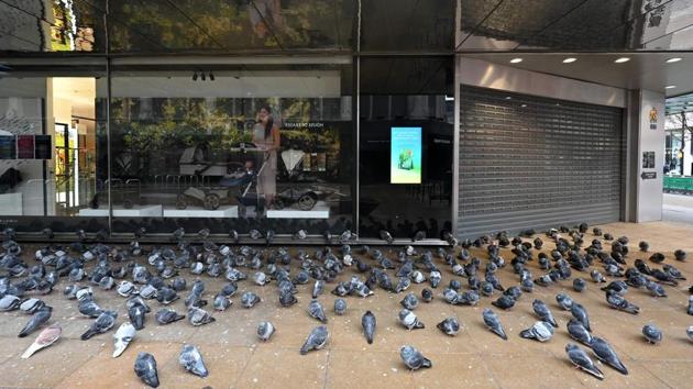 Pigeons gather outside the shuttered entrance to a John Lewis department store in London on January 5. More than 75,000 people in the United Kingdom have died from Covid-19 within 28 days of a positive test since the start of the pandemic. A record 58,784 new cases of the coronavirus were reported on January 4, Reuters reported. (Justin Tallis / AFP) Pigeons gather outside the shuttered entrance to a John Lewis department store in London on January 5. More than 75,000 people in the United Kingdom have died from Covid-19 within 28 days of a positive test since the start of the pandemic. A record 58,784 new cases of the coronavirus were reported on January 4, Reuters reported. (Justin Tallis / AFP)