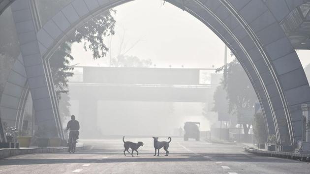 Dense smog is seen because of increase of concentration of pollutants in the air at Delhi.(ANI)