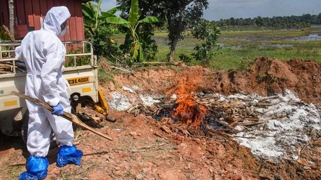 An Animal Husbandry Department worker culls ducks in Alappuzha on January 5. In Kerala’s Kottayam and Alappuzha districts close to 38,000 ducks have been culled. The Central government records show nearly ₹400 crore have been paid to poultry farmers till 2016 as compensation for mass killing of birds, HT reported. (PTI)