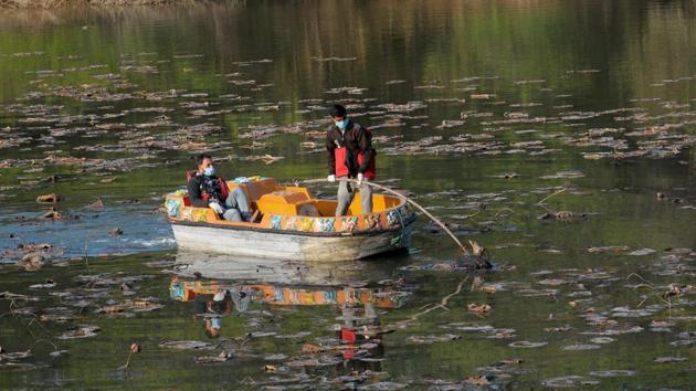 Wildlife officials collect carcass of birds from Sukhna Lake in Chandigarh on January 6. In addition, bird deaths have also been reported from Haryana and Uttarakhand. Himachal’s Kangra district magistrate banned sale or culling of poultry in the alert zone and closed all poultry or fish selling shops. (Ravi Kumar / HT Photo)