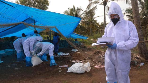 Health workers in protective suits cull ducks after the H5N8 bird flu strain was detected in Karuvatta of Alapuzha district on January 6. NIHSAD has so far identified 12 epicentres of the outbreak in Rajasthan (Baran, Kota, Jhalawar), Madhya Pradesh (Mandsaur, Indore, Malwa), Himachal Pradesh (Kangra) and Kerala (Kottayam, Alappuzha). (Arunchandra Bose / AFP)