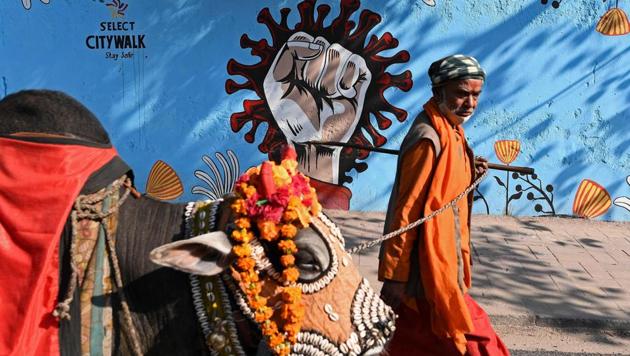 A man along with his cow walks past a mural representing awareness against the Covid-19 coronavirus painted on a wall along the roadside in New Delhi. (AFP) A man along with his cow walks past a mural representing awareness against the Covid-19 coronavirus painted on a wall along the roadside in New Delhi. (AFP)
