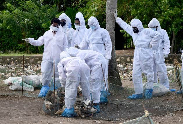 A team of health experts, from the Union Ministry of Health and Family Welfare visit a bird flu-affected area at Karuvatta in Alappuzha district on Thursday.(PTI) A team of health experts, from the Union Ministry of Health and Family Welfare visit a bird flu-affected area at Karuvatta in Alappuzha district on Thursday.(PTI)