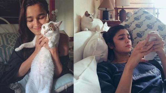 Alia Bhatt says she is the dog while Ranbir is the cat of their  relationship