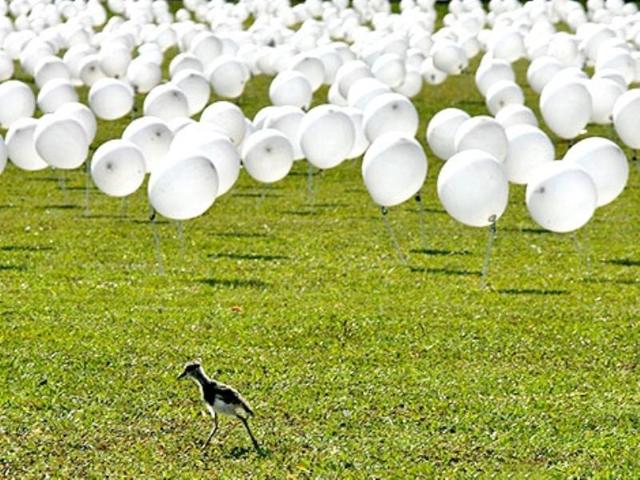 Members of the World Wildlife Fund (WWF) Brazil adjust six thousand balloons, representing the country's daily emission of 6 million tons of greenhouse gas, in front of the National Congress in Brasilia on Tuesday.