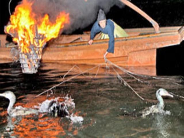 Japanese woman Mariko Sawaki does "Ukai" or traditional Japanese fishing on River Uji in Kyoto.