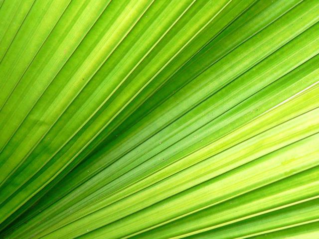 Get close to nature.