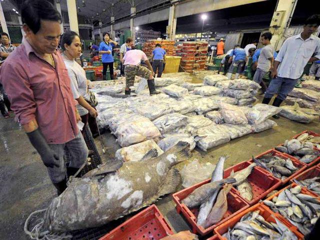 Workers sort fish out at the Mahachai fish market in Samut Sakhon province, west of Bangkok.