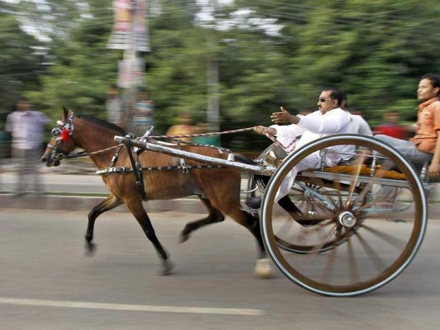 A participant races his horse driven cart during a traditional race in Allahabad. A participant races his horse driven cart during a traditional race in Allahabad.