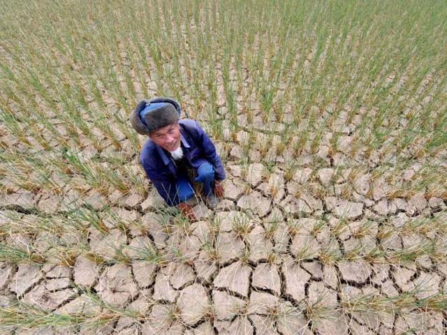 A Chinese farmer showing his drought-stricken fields in Guiyang, southwest China's Guizhou province.