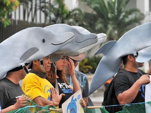 Environmental activists wearing dolphins cut-outs hold a rally in front of the Japanese embassy in Manila, against dolphin-hunting in Taiji town, Wakayama prefecture.