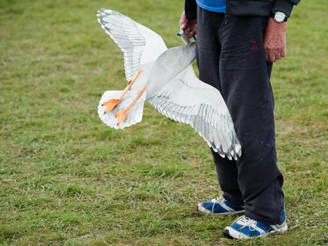A man holds a small seagull kite at the 25th annual Bristol International Kite Festival on the Ashton Court Estate near Bristol.