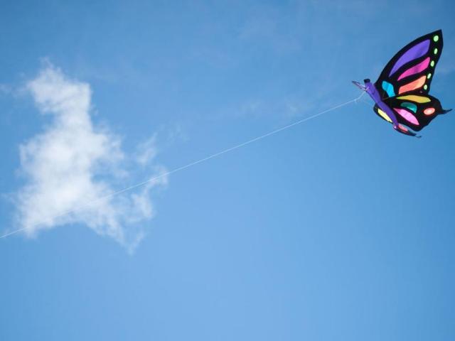 A lone butterfly kite flies at the 25th annual Bristol International Kite Festival on the Ashton Court Estate near Bristol.