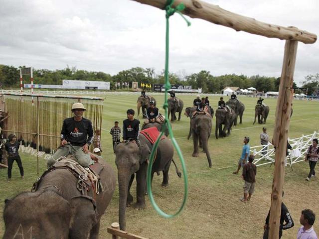 Mahouts ride elephants after the opening parade of the 10th annual King's Cup Elephant Polo Tournament in Hua Hin.
