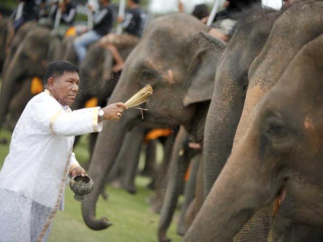 Elephants are blessed during the opening parade of the 10th annual King's Cup Elephant Polo Tournament in Hua Hin.