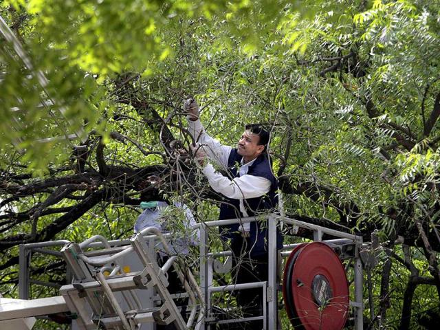An officer of the National Investigation Agency (NIA) collects evidence from a tree top from the site of a blast at Delhi high court in New Delhi.