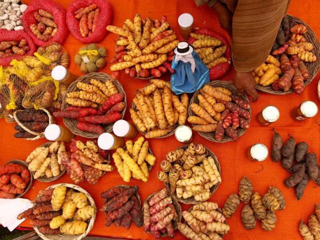 An Andean farmer sells potatoes during the gastronomic fair 'Mistura' in Lima.