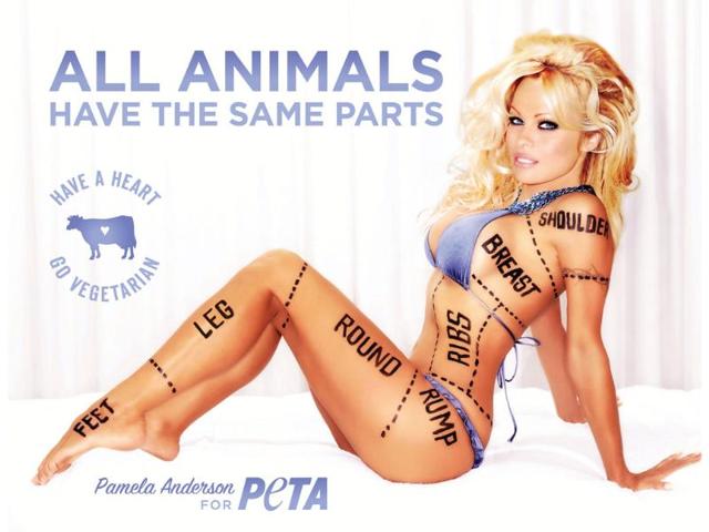 A regular on PETA ads, all of Pamela Anderson's parts look good in this one.