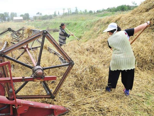 Armenian women rake hay in a field near Vardadzor. In the midst of the harvest season in Vardadzor, around 130 kms (80 miles) from the ex-Soviet state's capital Yerevan, women do the hard agricultural labour, prepare for the long winter ahead and raise their children practically without male assistance.