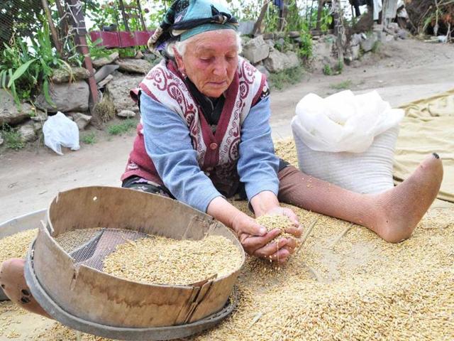 An Armenian woman sifts grain in her yard in Vardadzor. In the midst of the harvest season in Vardadzor, around 130 kms (80 miles) from the ex-Soviet state's capital Yerevan, women do the hard agricultural labour, prepare for the long winter ahead and raise their children practically without male assistance.