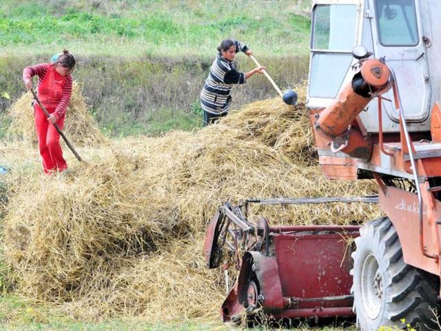 Armenian women rake hay in a field near Vardadzor. In the midst of the harvest season in Vardadzor, around 130 kms (80 miles) from the ex-Soviet state's capital Yerevan, women do the hard agricultural labour, prepare for the long winter ahead and raise their children practically without male assistance.