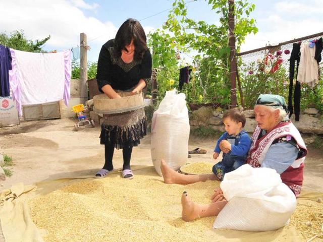 Armenian women sift grain in her yard in Vardadzor. In the midst of the harvest season in Vardadzor, around 130 kms (80 miles) from the ex-Soviet state's capital Yerevan, women do the hard agricultural labour, prepare for the long winter ahead and raise their children practically without male assistance.