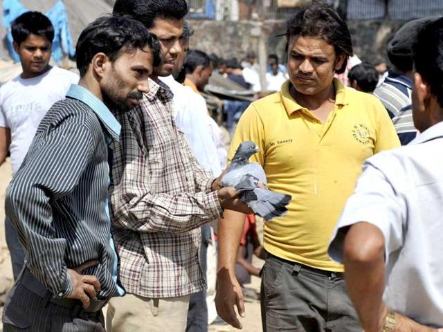 Customers inspect a pigeon for sale at a bird market in the old section of New Delhi.