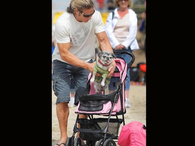 An owner takes his pug out of it's baby carriage in the crowd at the surf dog contest.