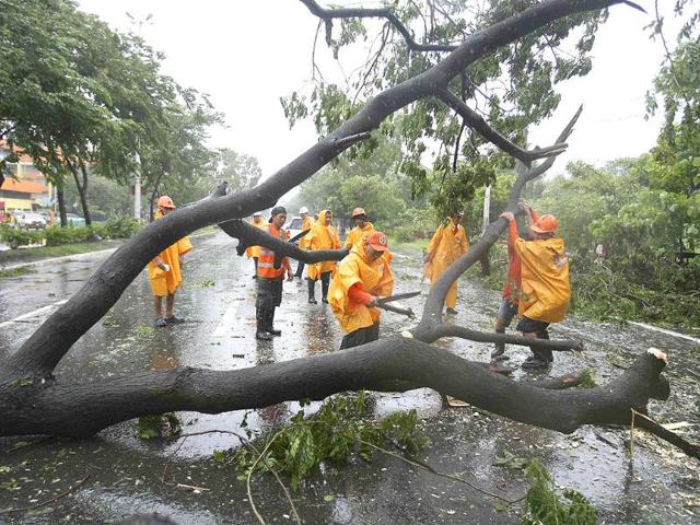 Workers try to remove a fallen tree that blocked a road in Manila at the height of typhoon Nesat in the Philippines.