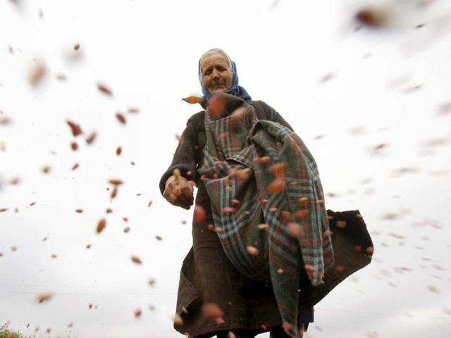 Farmer Anna Semukha scatters wheat seeds in a field in Danilovichi village, near Minsk. Traditional forms of small hold farming are still being practised in Belarus.