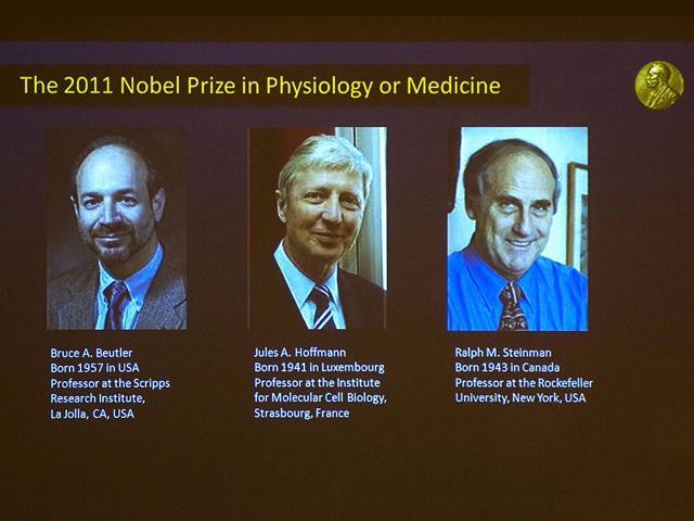 A picture shows a television screen at the Nobel Assembly at the Karolinska Institute in Stockholm announcing that (L-R) Bruce Beutler of the US, Jules Hoffmann of Luxembourg and Canada's Ralph Steinman had won the 2011 Nobel Prize in Physiology or Medicine for their discoveries concerning the activation of innate immunity and that Ralph M. Steinman of Canada had won for his discovery of the dendritic cell and its role in adaptive immunity.