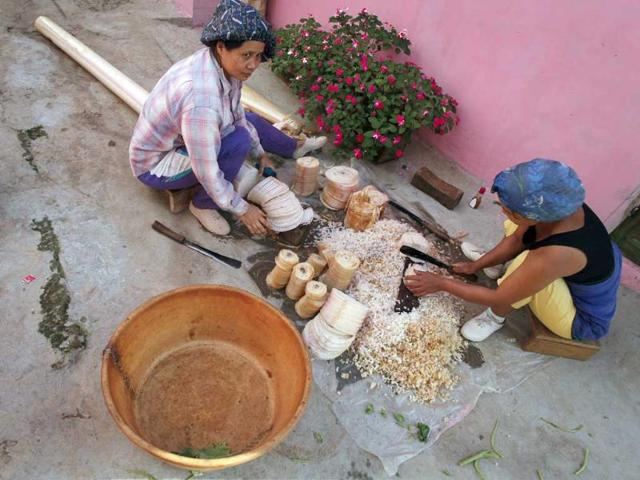 Saroni, 42 (L) and Manuni, 35, the 12th and 32nd wives of Ziona, cut banana branches to feed pigs in Baktawng village in Mizoram. (Reuters)