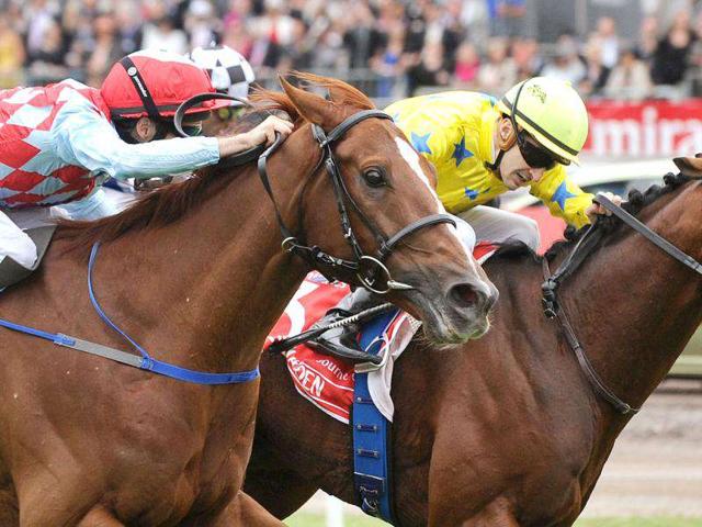 French horse Dunaden with jockey Christophe Lemair (R) heads to the line to beat British horse Red Cadeaux ridden by jockey Michael Rodd (L) in the 6.2 million Australian dollar Melbourne Cup horse race.