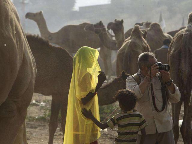 A woman walks past camels as a foreign tourist takes pictures at the Pushkar fair in Pushkar, Rajasthan. Pushkar, located on the banks of Pushkar Lake, is a popular Hindu pilgrimage spot that is also frequented by foreign tourists for its annual cattle fair and camel races.