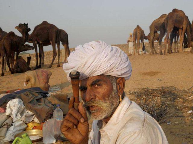 A camel herder smokes at the Pushkar fair in Pushkar, Rajasthan. Pushkar, located on the banks of Pushkar Lake, is a popular Hindu pilgrimage spot that is also frequented by foreign tourists for its annual cattle fair and camel races.