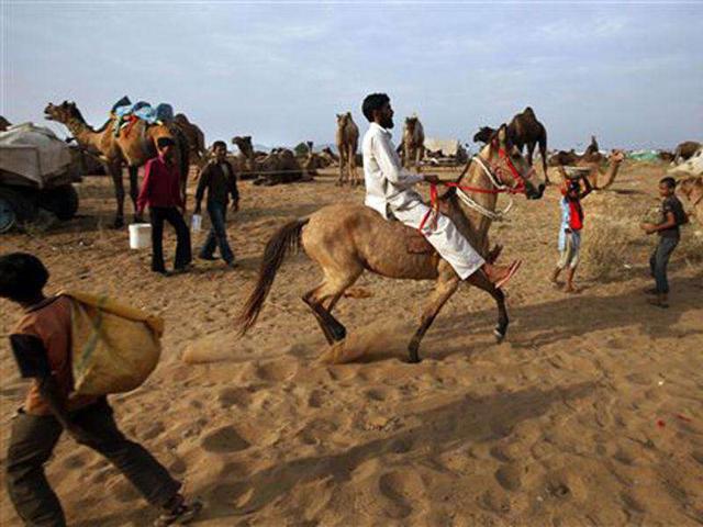A villager shows his horse by riding to a prospective buyer at the Pushkar fair, in Rajasthan. Pushkar, located on the banks of Pushkar Lake, is a popular Hindu pilgrimage spot that is also frequented by foreign tourists for its annual cattle fair and camel races.