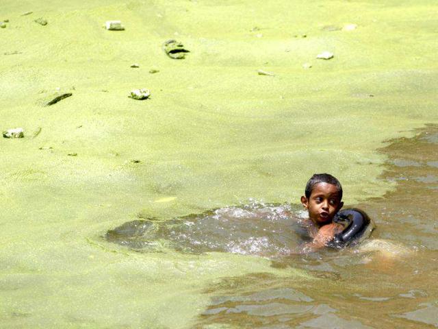 A boy swims in polluted water to beat the heat in the western Yemeni city of Hajja. (Reuters)