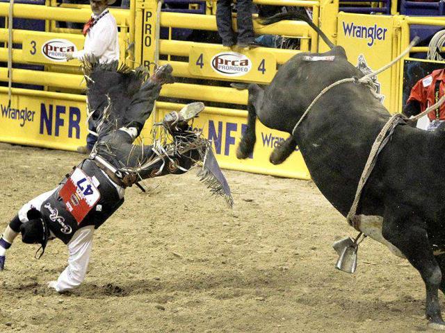 Rowdy Rodeo | Hindustan Times